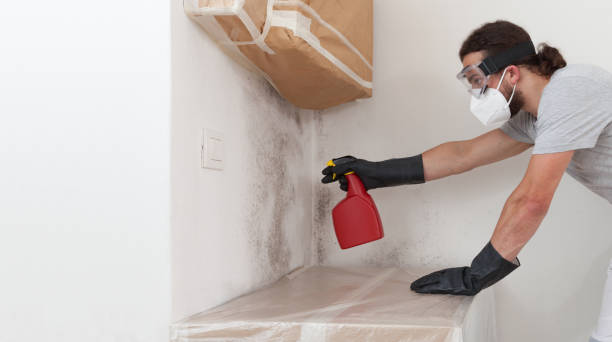 Attic Mold Remediation treatment on roof deck in New Prague